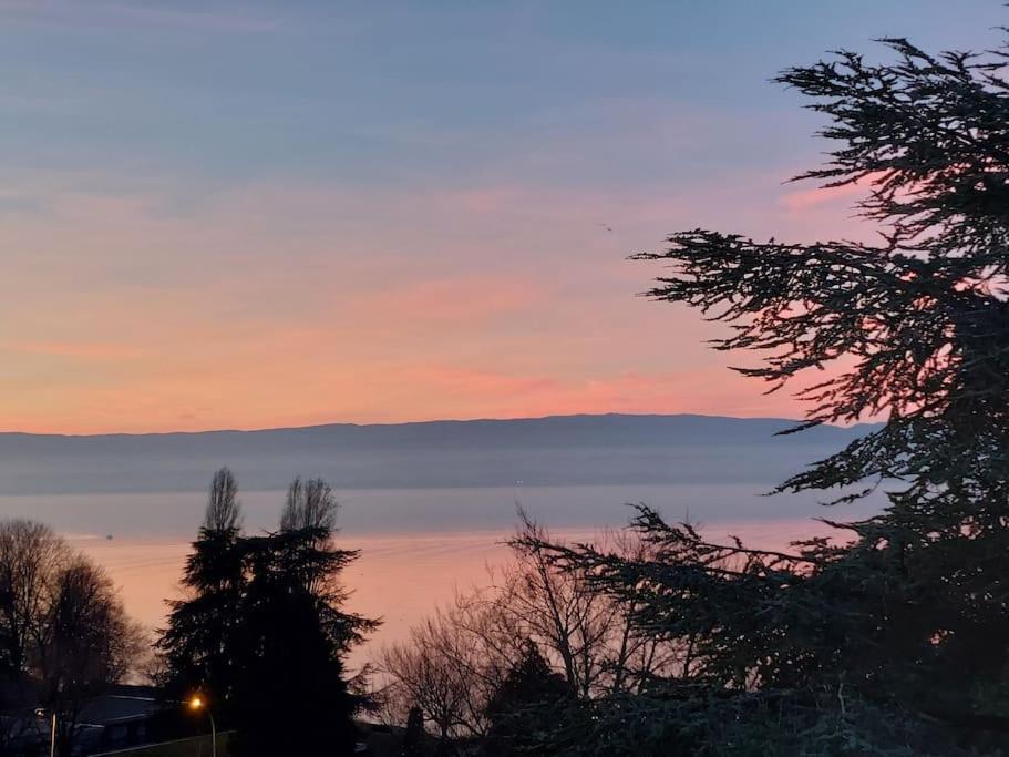 Le Mirabeau Vue Lac Évian-les-Bains Exteriör bild