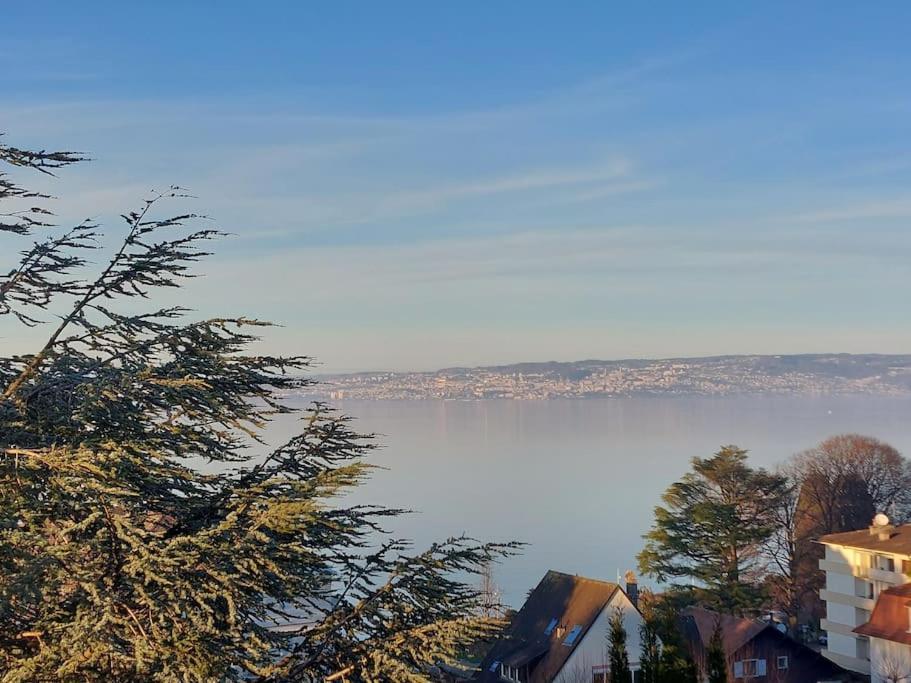 Le Mirabeau Vue Lac Évian-les-Bains Exteriör bild